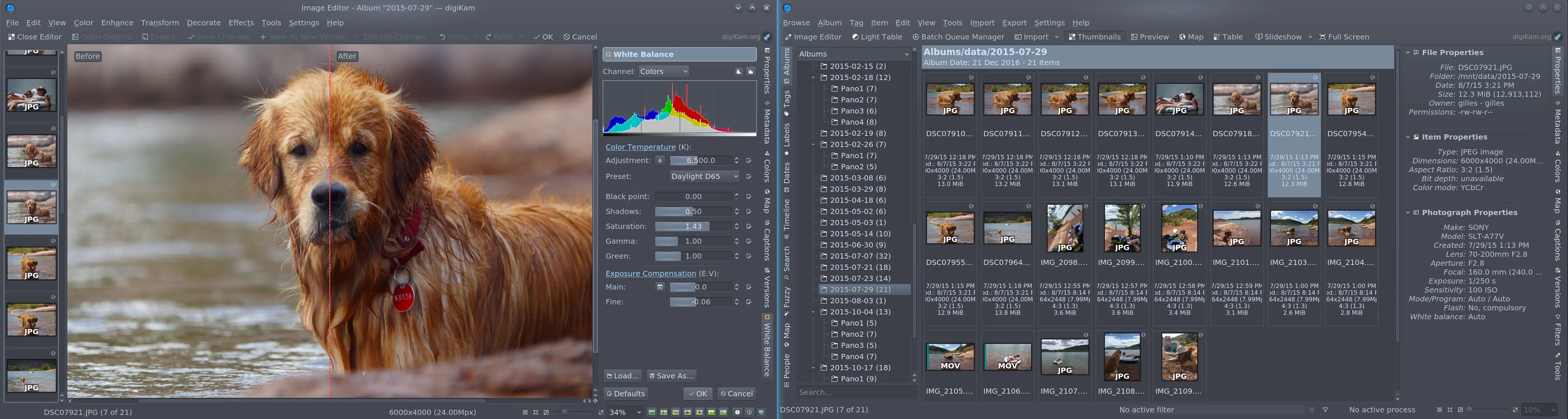 Albums View and Image Editor
