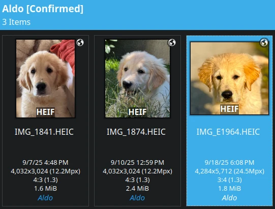 Database Faces