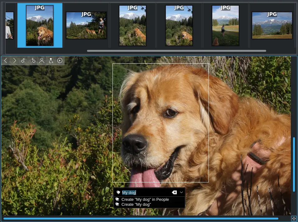 Preview Mode