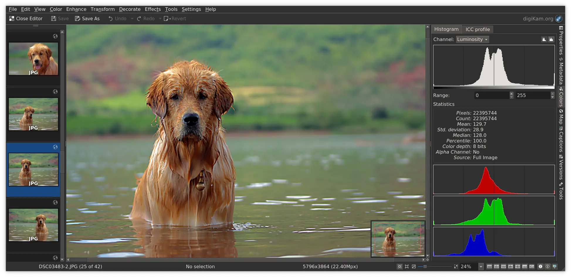 Image Editor